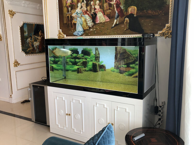 Trang trí phòng khách với hồ cá thủy sinh