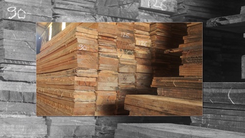 gỗ thông dầu