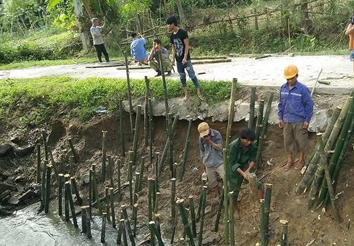 Kĩ thuật đóng cọc tre và phương pháp tính sức chịu tải của cọc tre
