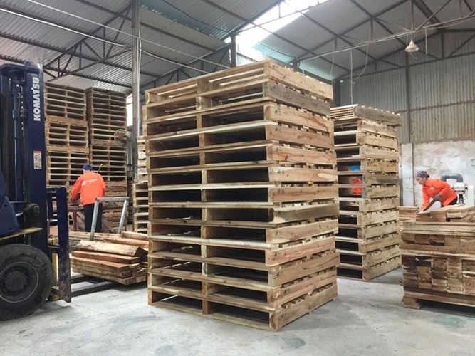 kích thước pallet