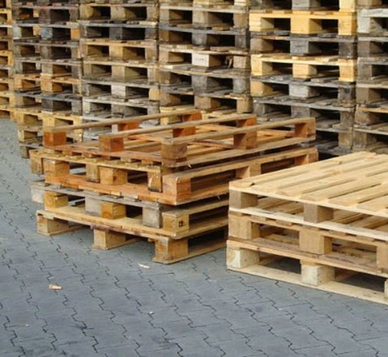 kích thước pallet