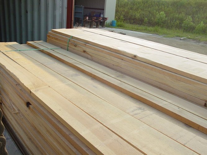 tên khoa học của gỗ thông