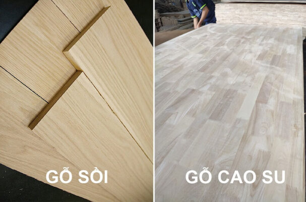 so sánh gỗ cao su và gỗ sồi
