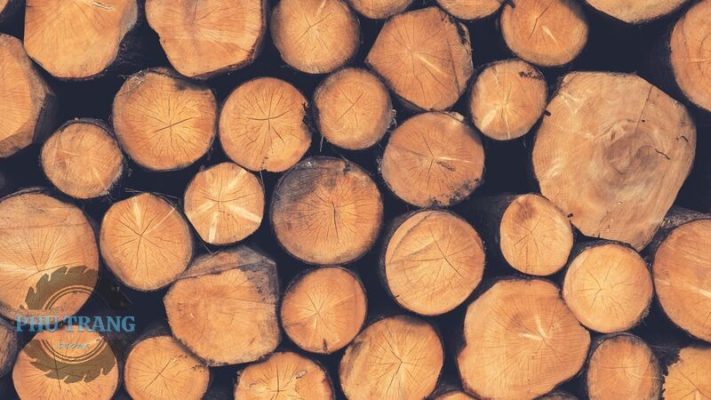 gỗ thông mỹ