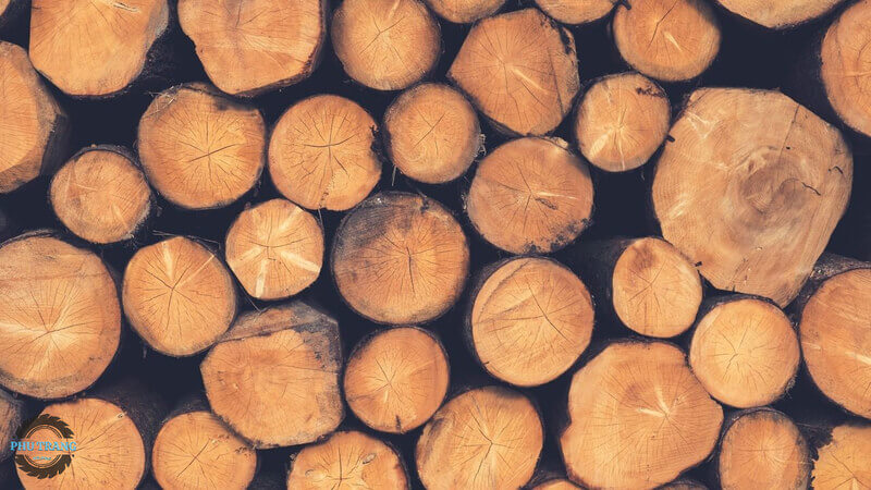 Phân loại gỗ tự nhiên