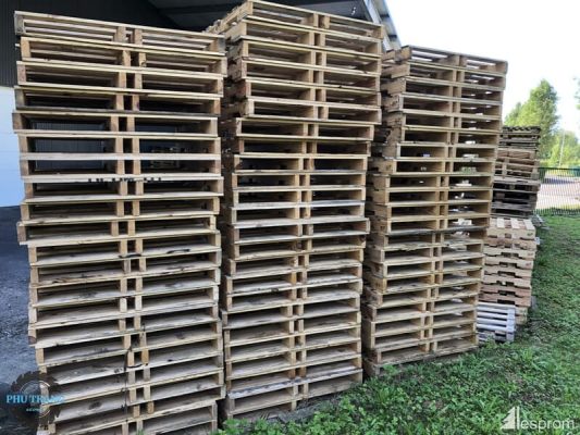 pallet gỗ thông là gì